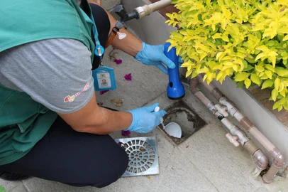 Caxias do Sul emite alerta após identificar seis regiões com alto índice de infestação do Aedes aegypti.<!-- NICAID(16050859) -->