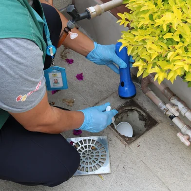 Caxias do Sul emite alerta após identificar seis regiões com alto índice de infestação do Aedes aegypti.<!-- NICAID(16050859) -->