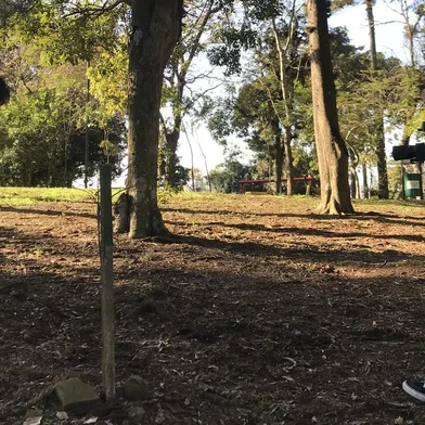 LabMais RS promove 1º Fórum Regional em Caxias do Sul Serão três dias de estudo, entre 29 e 31 de julho, sobre a potência que artes, mídias e tecnologias podem oferecer para a juventude Entre os dias 29 e 31 de julho, o Sesc Caxias do Sul (Rua Moreira César, 2462) sedia o 1º Fórum Regional do Laboratório de Artes, Mídias, Tecnologias e Juventudes (LabMais). Serão três dias de estudo e troca de experiências sobre a potência que as artes, mídias e tecnologias podem oferecer para os jovens. Gratuito e aberto ao público geral, o evento busca integrar a comunidade ao projeto por meio de debates, palestras e exibições de audiovisuais.<!-- NICAID(15149361) -->