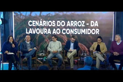 Campo em Debate - Cenários do Arroz, da Lavoura ao Consumidor.<!-- NICAID(15850768) -->