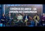 Do campo ao supermercado: cadeia produtiva discute como conectar mais o arroz ao consumidor