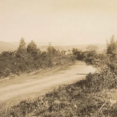 Avenida Protásio Alves/Caminho do Meio no álbum “Bairro Petrópolis – Caminho do Meio”, produzido pela empresa Schilling, Kuss & C. Foto provavelmente nos anos 1920.<!-- NICAID(15968643) -->