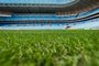 PORTO ALEGRE, RS, BRASIL, 13/08/2019: Situação do gramado da Arena do Grêmio. (Foto: Omar Freitas / Agência RBS)Indexador: NGS<!-- NICAID(14204182) -->