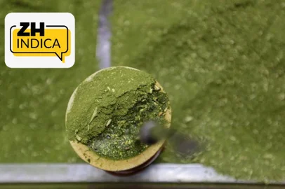 chimarrão, erva-mate<!-- NICAID(16115047) -->