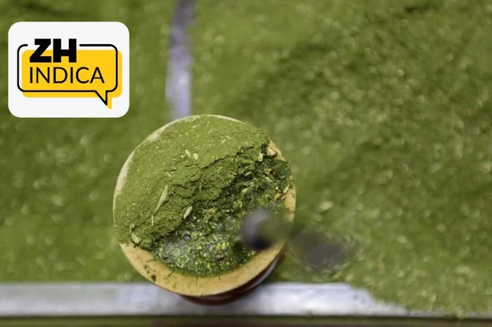 André Ávila / Agência RBS