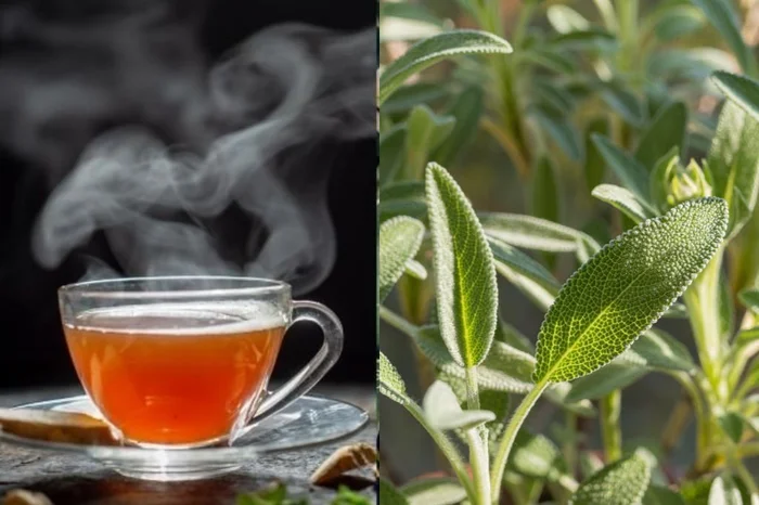 lesterman / David Jalda / stock.adobe.com lesterman / David Jalda / stock.adobe.com