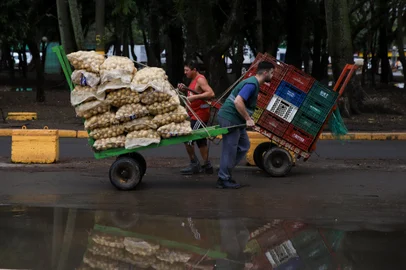PORTO ALEGRE, RS, BRASIL - 17.06.2024: Ceasa reabre após 40 dias fechada devido à enchente. Fotos: Duda Fortes / Agencia RBS<!-- NICAID(15791085) -->