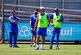 Grêmio tem sete pendurados para a reta final do Brasileirão; confira a lista