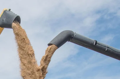 Colheita do arroz se aproxima do final com expectativa de boa produtividade, segundo a Federarroz (Associações de Arrozeiros do Rio Grande do Sul).<!-- NICAID(14498651) -->