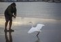 Interação entre animais e pescadores encanta em um santuário urbano no Litoral Norte  