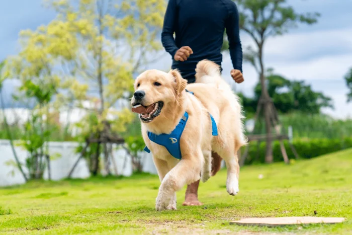 CandyRetriever / Shutterstock | Portal EdiCase CandyRetriever / Shutterstock | Portal EdiCase