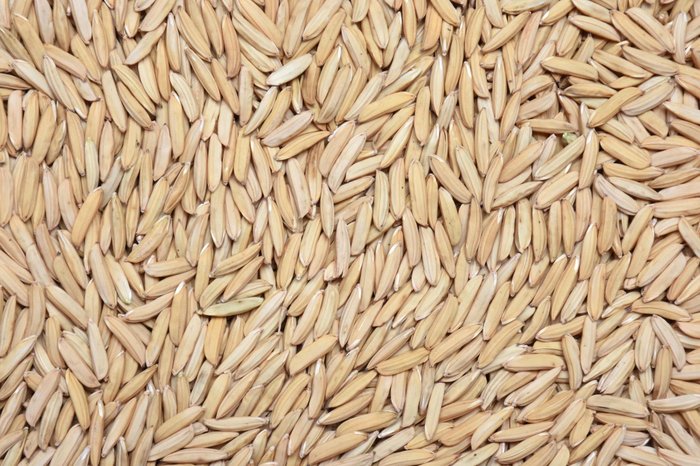 Sebastião José de Araújo / Embrapa/ Divulgação