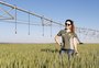 Olhar o campo pensando no futuro: a rotina da engenheira agrônoma que trabalha no melhoramento do trigo 
