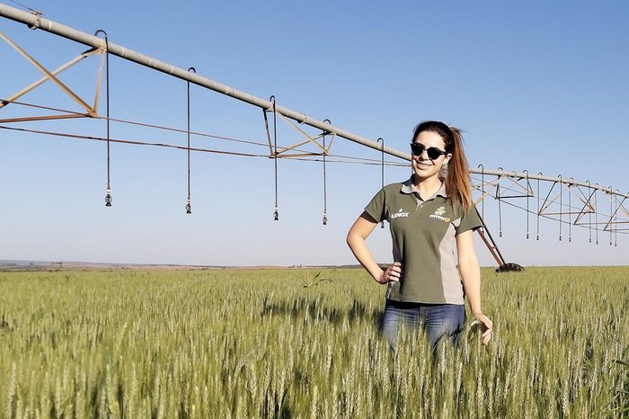 André Schönhofen / Divulgação André Schönhofen / Divulgação