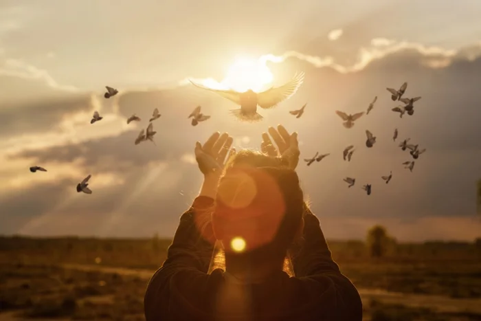 Natali _ Mis / Shutterstock</div>
<div> | Portal EdiCase