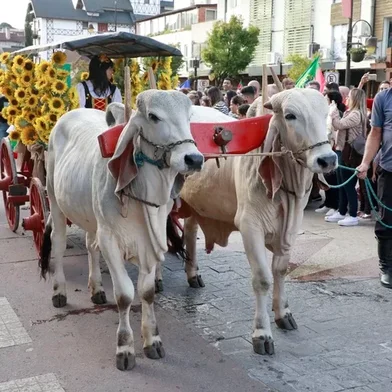 A Expogramado conta com o tradicional Desfile de Carretas