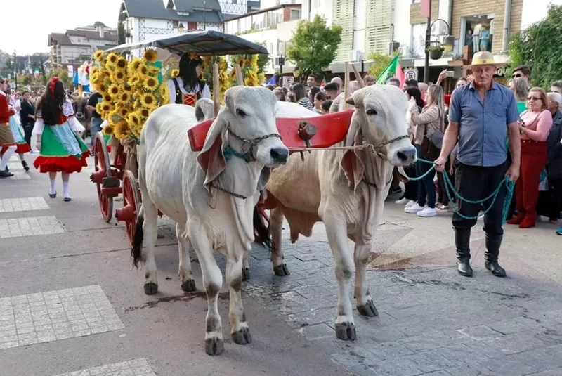 A Expogramado conta com o tradicional Desfile de Carretas