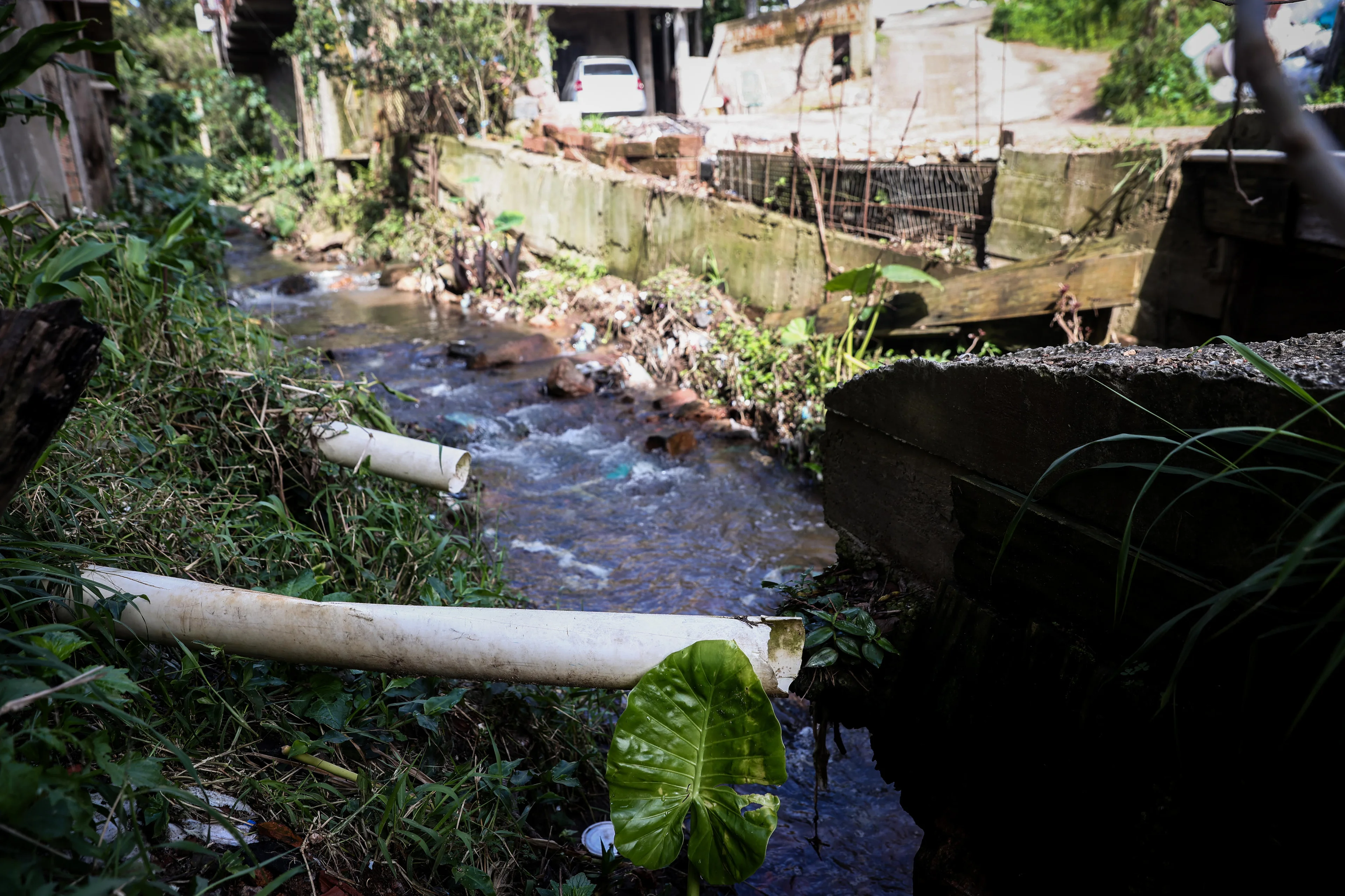 Jonathan Heckler/Agencia RBS