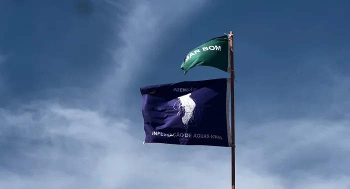 Joanna Manhago/Grupo RBS Joanna Manhago/Grupo RBS