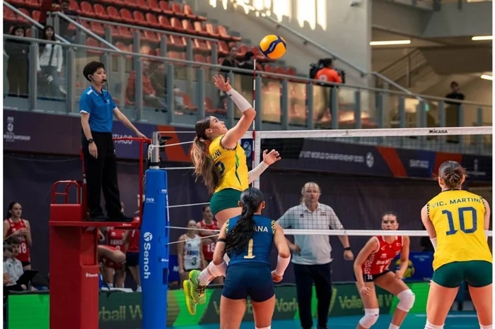 Volleyball World / Divulgação