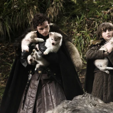 Game of Thrones<!-- NICAID(7221347) -->