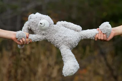 A childish quarrel. Two children share a toy - a teddy bear. Close-up of the hands that tear the toy.<!-- NICAID(15957538) -->