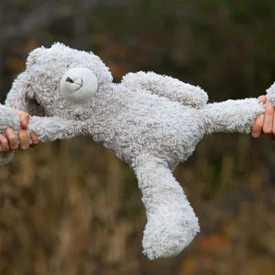 A childish quarrel. Two children share a toy - a teddy bear. Close-up of the hands that tear the toy.<!-- NICAID(15957538) -->