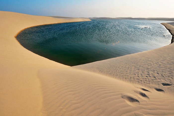 Pulsar Imagens / stock.adobe.com