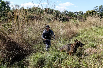 'Serial killer' já foi alvo de buscas após ocorrência em 2008 na BahiaGO - SERIAL KILLER/DF/BUSCAS - GERAL - Policiais trabalham para capturar Lázaro Barbosa, suspeito de assassinatos em       série e que está foragido há mais de uma semana, em Girassol, distrito do       município de Cocalzinho de Goiás (GO), nesta segunda-feira, 21 de junho de 2021.       Uma força-tarefa policial mobiliza agentes de segurança do Distrito Federal e de       Goiás nas buscas. Barbosa é acusado de matar quatro pessoas de uma mesma família       em Ceilândia (DF). O comércio local optou por se manter fechado durante as buscas       pelo suspeito.        21/06/2021 - Foto: GABRIELA BILó/ESTADÃO CONTEÚDOEditoria: GERALLocal: COCALZINHO DE GOIASIndexador: GABRIELA BILóFonte: ESTADÃƒO CONTEÃšDOFotógrafo: ESTADÃO CONTEÚDO<!-- NICAID(14815387) -->