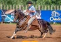 Com pista encharcada, Freio de Ouro classifica mais 16 animais em Uruguaiana