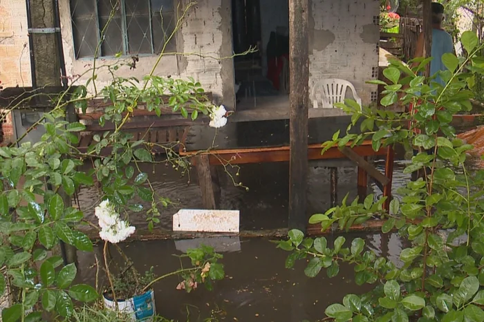 RBS TV / Divulgação