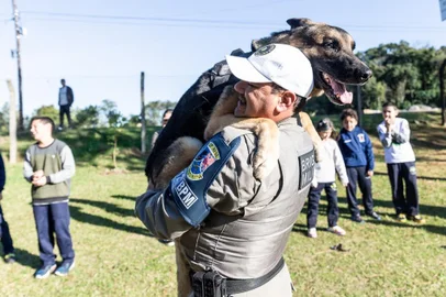 Morre Conan, cão da Brigada Militar de Caxias<!-- NICAID(15638029) -->