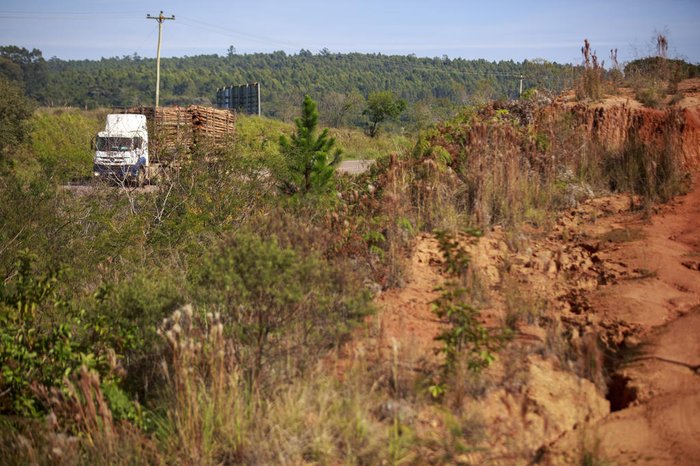 Jefferson Botega / Agencia RBS