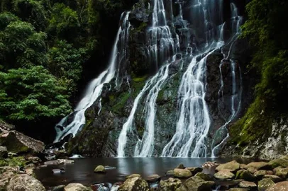 Sesc Caxias do Sul promove passeio com trilhas e cachoeiras em São Francisco de Paula<!-- NICAID(14825930) -->