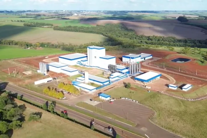 Whey do Brasil / Divulgação Whey do Brasil / Divulgação