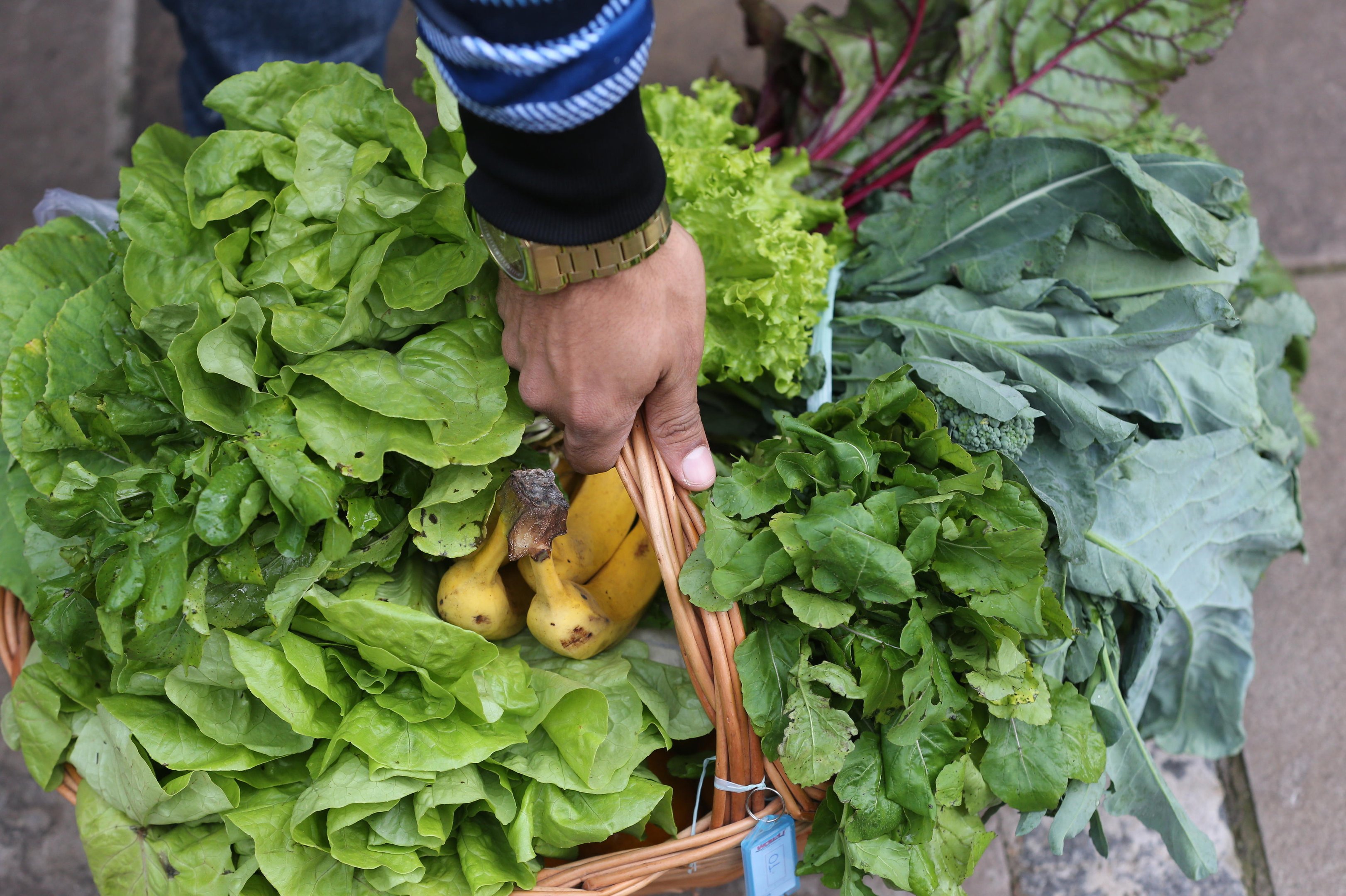 Semana do Alimento Orgânico chama atenção para outro modelo de agricultura