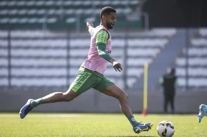 atleta é um dos sete reforços anunciados pelo Verdão nesta janela de transferências<!-- NICAID(15170405) -->