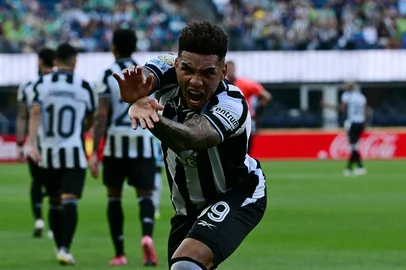 Botafogo's Brazilian forward #99 Igor Jesus celebrates scoring his team's second goal during the Club World Cup 2025 Group B football match between Brazil's Botafogo and US Seattle Sounders at the Lumen Field stadium in Seattle on June 15, 2025. (Photo by Pablo PORCIUNCULA / AFP)<!-- NICAID(16060349) -->