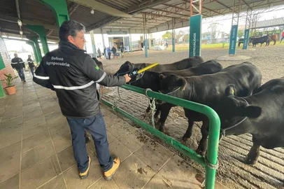 Projeto-piloto de rastreabilidade de bovinos no RS<!-- NICAID(16120638) -->