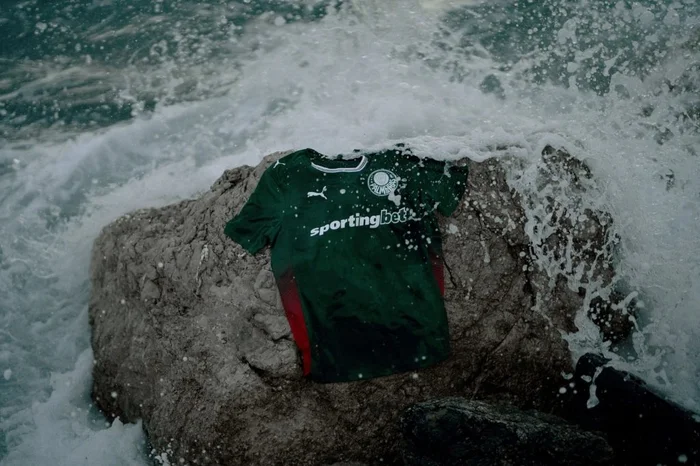 Palmeiras / Divulgação