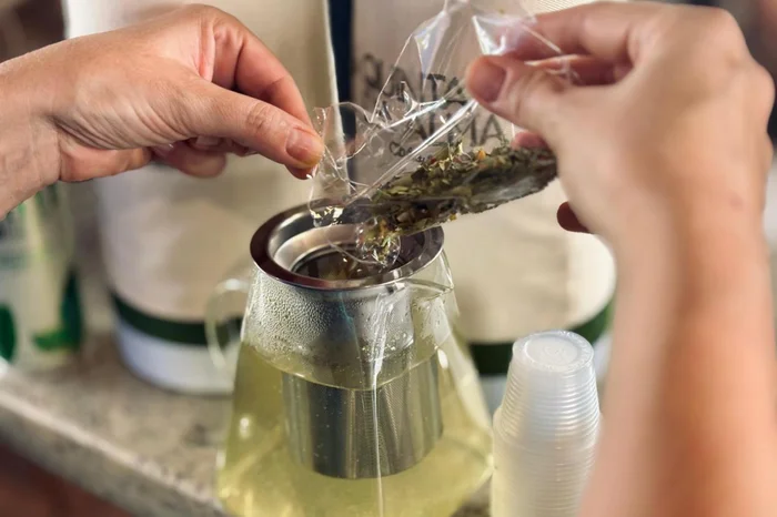 Alessandra Hoppen / Agencia RBS