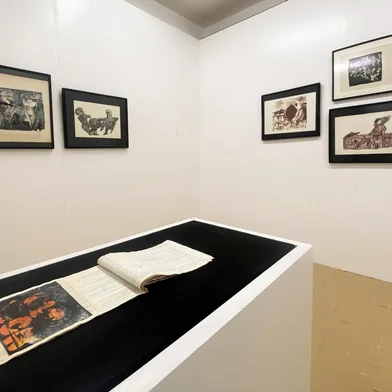 inauguração Museu de Artes Visuais Ruth Schneider (MAVRS) no campus da UPF<!-- NICAID(15528967) -->