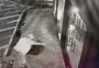VÍDEO: criminoso arromba loja com pedrada e furta roupas no centro de Passo Fundo