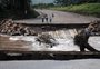 Investimento social privado chega a R$ 5,8 bilhões no Brasil, com atenção para a agenda climática