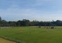 Reservas vão para o campo e titulares ficam na academia no primeiro treino do Inter em Atibaia