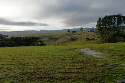 Com 0°C, Cambará do Sul tem menor temperatura do RS nesta sexta; frio irá persistir na Serra.<!-- NICAID(16048931) -->