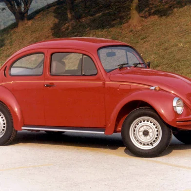 Fusca 1995<!-- NICAID(9010788) -->