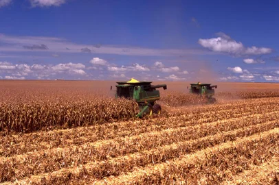 lavoura de milho, SLC agrícola, eduardo logemann<!-- NICAID(13259561) -->