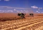 SLC doa R$ 237 mil para incentivar contribuições ao Banco de Alimentos do RS