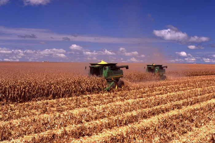 Divulgação / SLC Agrícola